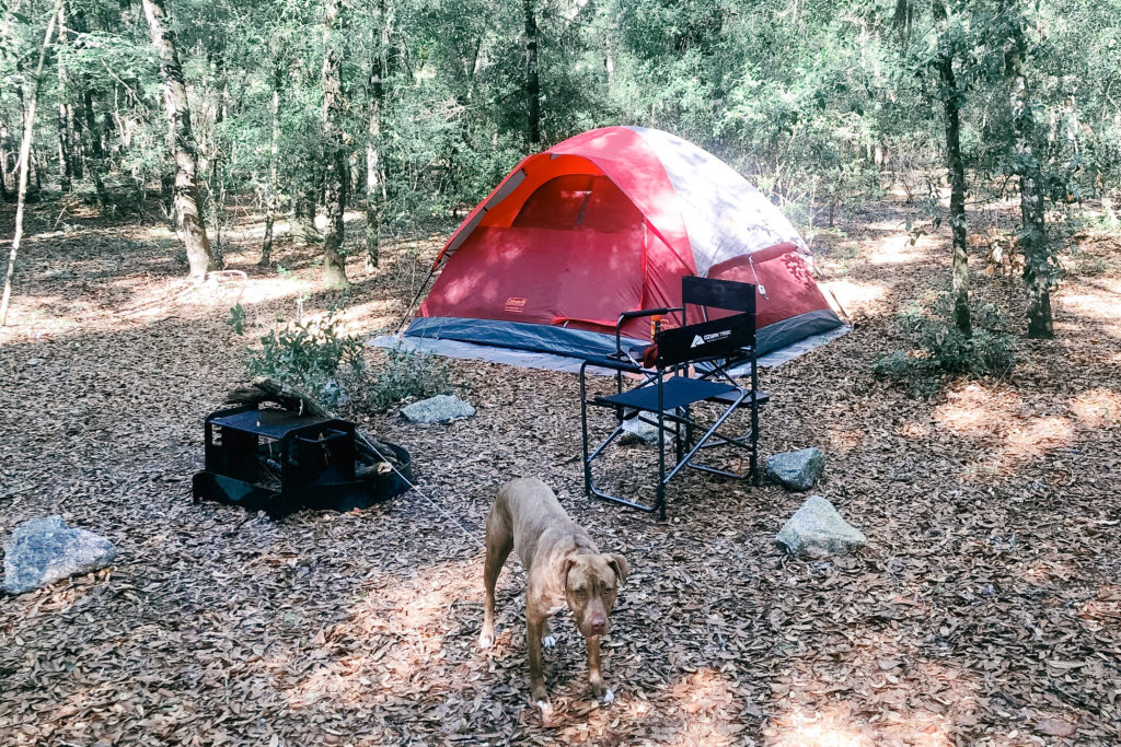 General Coffee State Park Backcountry Site