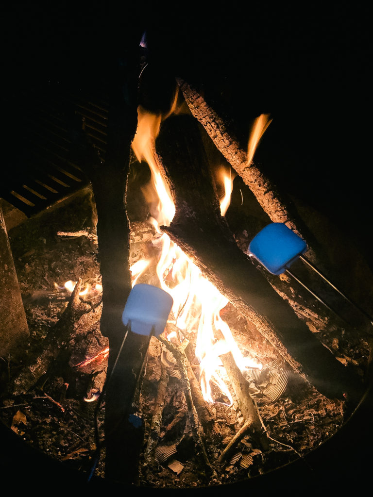 Smores around the campfire