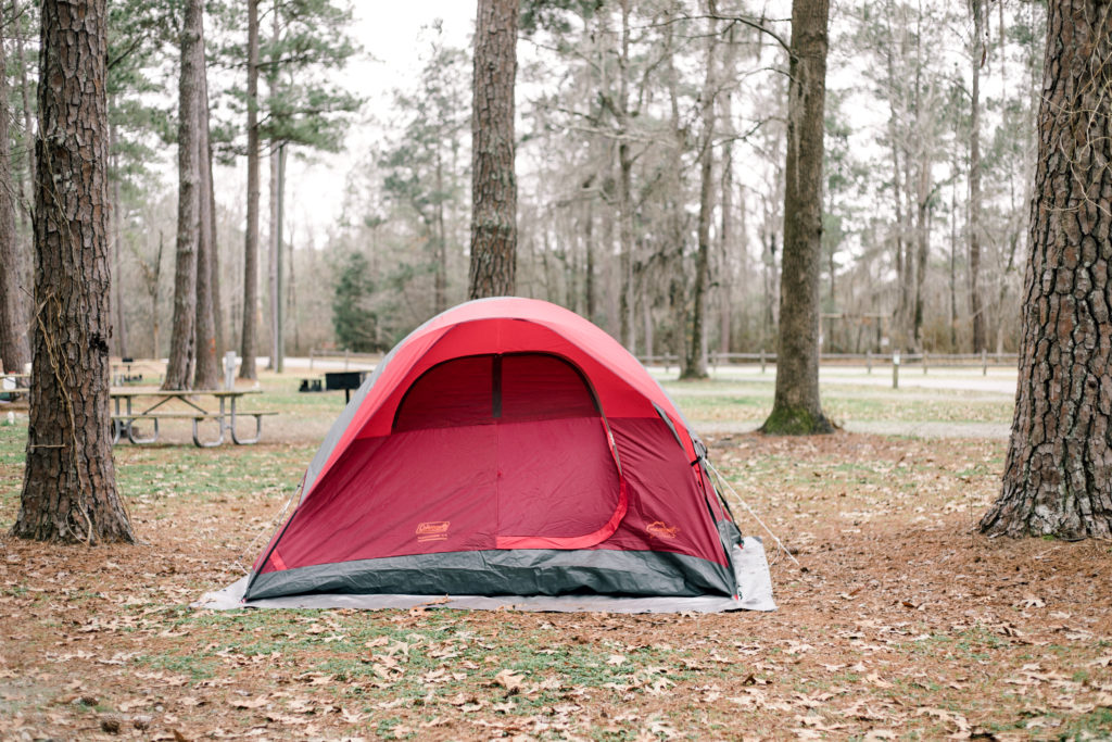 florence marina state park