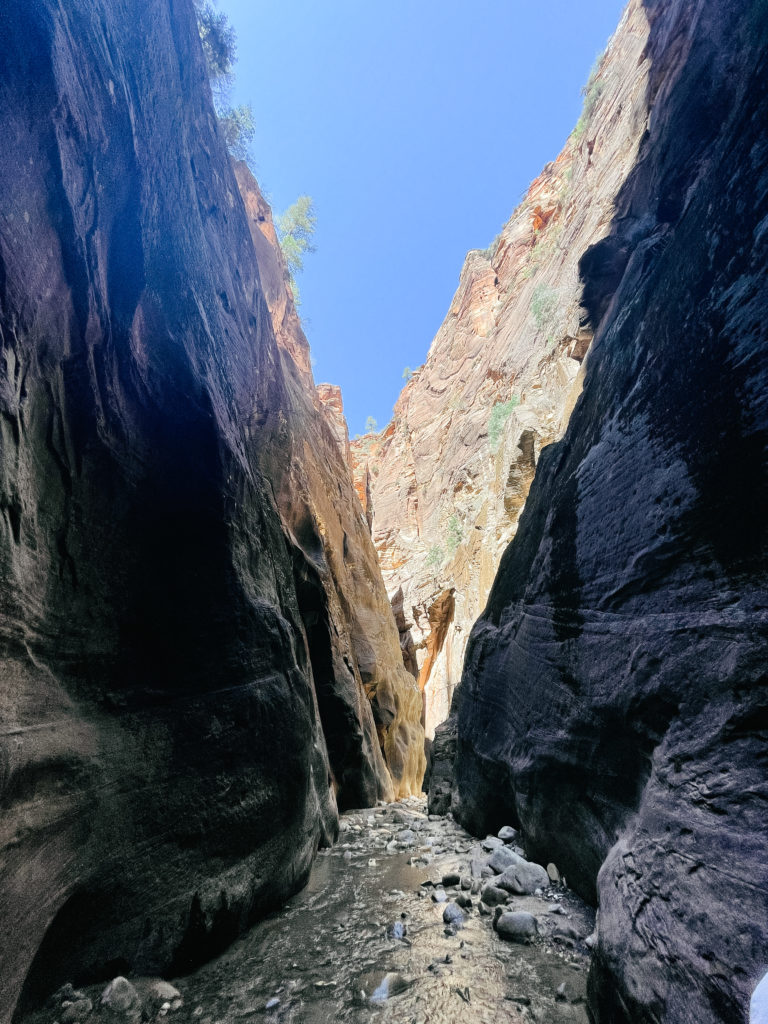 the narrows canyon walls