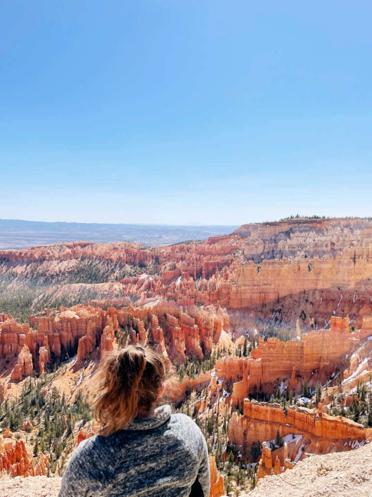 beautiful overlook of bryce canyon